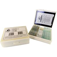 Preparación Cono Set - Tejido Humano patológica 1 (Pack de 10)